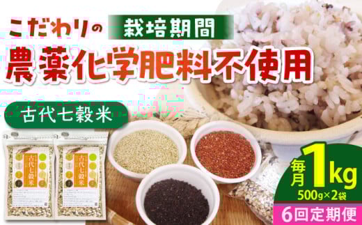 【全6回定期便】古代七穀米 1kg ( 500g×2個セット ) 【だいちの家】[HAG009] 定期便 雑穀 雑穀米 古代米 発芽玄米 玄米 黒米 麦 ヒエ アワ 佐賀