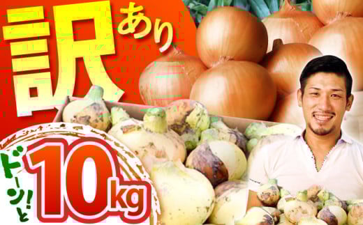 【先行予約】【訳あり】＜2026年3月下旬以降発送＞佐賀県産 玉ねぎ 10kg【八丁屋】 [HAO007]
