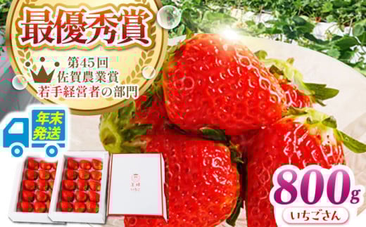 【農薬0への挑戦】【年末発送】王様のいちご いちごさん 800g（400g×2箱）【むらおか農園】 [HAF028] 年内発送