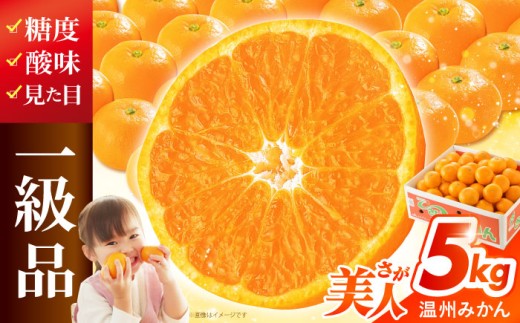 【厳しい基準をクリアしたみかん】 佐賀みかん （さが美人）5kg 【JAさが 杵島支所】 [HAM086] みかん 佐賀みかん 温州みかん さが美人 佐賀県 ミカン 果物 フルーツ