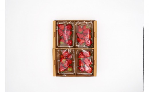 いちご　紅ほっぺ　約1kg（250g×4パック）