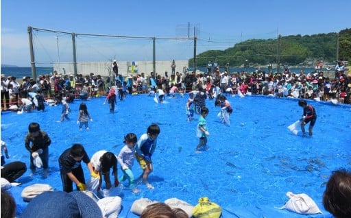 （3）移住・定住による「うすき暮らし」のすすめ