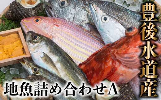 うすき豊後水道物語 豊後水道うすき地魚詰め合わせA