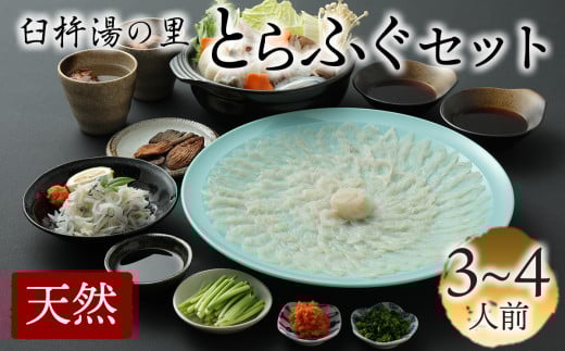 最高級の天然物！とらふぐ刺しふぐ鍋セット（3～4人前）［冷蔵］臼杵湯の里