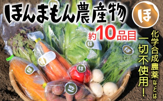 化学合成農薬等不使用で栽培！安心安全な「ほんまもん野菜」を10品目前後お届け♪