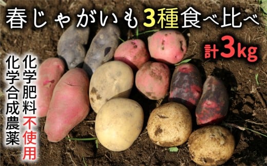 北海道産じゃがいも 男爵 きたかむい各約5kg Lサイズ 計10kg