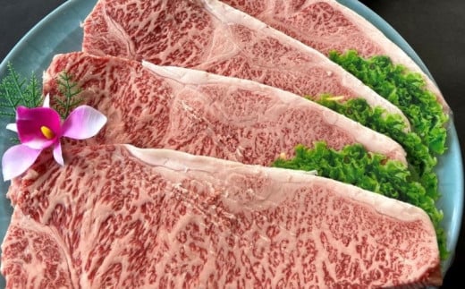 肉質4等級以上！おおいた和牛の黒毛和牛サーロインステーキ（計640g）