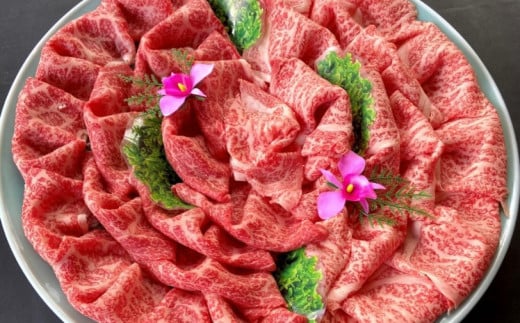 肉質4等級以上！おおいた和牛のの黒毛和牛　モモ肉＆ローススライス（計800g）