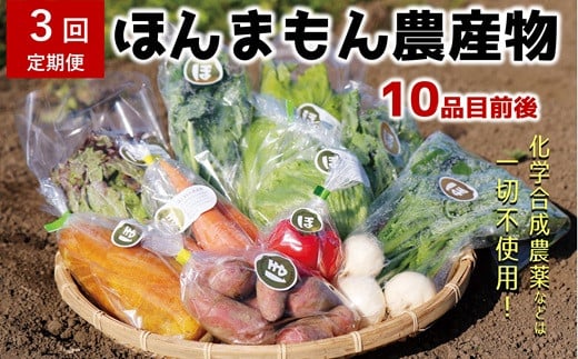 【3ヶ月定期便】化学合成農薬等不使用で栽培！安心安全な「ほんまもん野菜」を10品目前後お届け♪