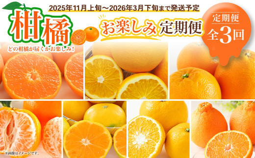 【全3回定期便】春冬限定 柑橘 お楽しみ定期便 みかん ポンカン 不知火等 ／ 早生みかん 中生みかん 甘夏 八朔 伊予柑 果物 フルーツ 長崎 九州 定期便 【2025年11月上旬～2026年3月下旬迄発送予定】
