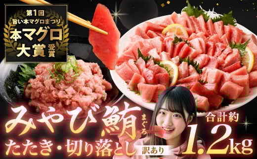 本マグロ大賞受賞 みやび鮪 たたき 約600g （約6～7人前） ・ 【訳あり】 みやび鮪 切り落とし 端っこちゃん 約600g （約6～7人前） 合計約1.2kg 訳アリ わけあり 理由あり 鮪 まぐろ 本マグロ 本鮪 本まぐろ タタキ トロ 魚 九州 長崎県 長崎市 冷凍