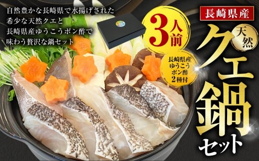 【14営業日以内発送】長崎県産 天然クエ鍋セット (3人前) 長崎県産 ゆうこうポン酢 2種付 / ポン酢付き クエ鍋 海鮮鍋 クエ くえ 魚 アラ 切り身 鍋セット セット 九州 長崎県 長崎市 冷凍