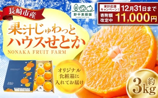 [期間限定!〜12月31日まで寄附額改定中]ハウスせとか 3kg 8〜15玉 化粧箱セット [2026年2月下旬-3月下旬迄発送予定] / フルーツ 果物 くだもの ミカン みかん 野中果樹園 オンライン決済限定 アフター保証 長崎県 長崎市