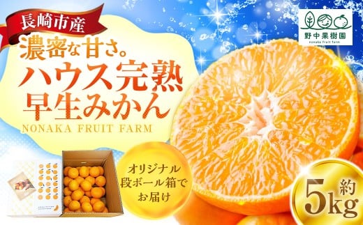 先行予約 ハウス完熟早生みかん 約5キロ箱 ／ フルーツ 果物 くだもの 柑橘 蜜柑 ミカン 野中果樹園 長崎県 長崎市 オンライン決済限定 アフター保証 【2026年1月上旬～下旬迄発送予定】