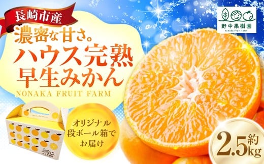 先行予約 ハウス完熟早生みかん お試し 約2.5kg箱 | 期間限定 フルーツ 果物 くだもの 柑橘 ミカン 野中果樹園 オンライン決済限定 長崎県 長崎市 アフター保証 【2026年1月上旬～下旬迄発送予定】