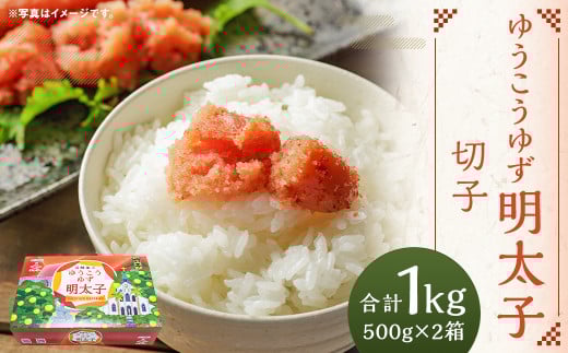 【14営業日以内に発送】ゆうこうゆず明太子切子 500g×2箱 化粧箱入り ｜ 明太子 切子 ゆうこう ゆず ご飯のお供 おつまみ 冷凍 長崎県 長崎市