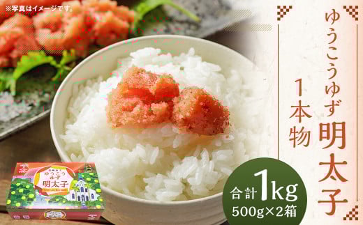 【14営業日以内に発送】ゆうこうゆず明太子1本物 500g×2箱 化粧箱入り ｜ 明太子 ゆうこう ゆず ご飯のお供 おつまみ 冷凍 長崎県 長崎市