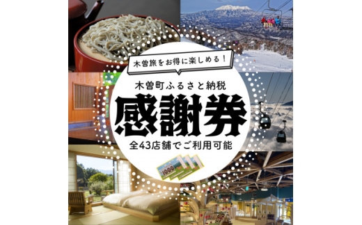木曽町ふるさと納税感謝券(50,000円分)【1663588】