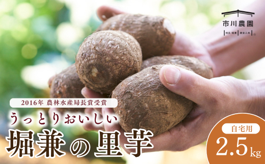 里芋 堀兼の里芋(自宅用) 2.5㎏ | さといも 里いも 里芋 サトイモ 土付 野菜 旬 新鮮 期間限定 季節限定 根菜類 根菜 煮物 芋煮 コロッケ 味噌汁 みそ汁 おでん 産地直送 市川農園 埼玉県 狭山市