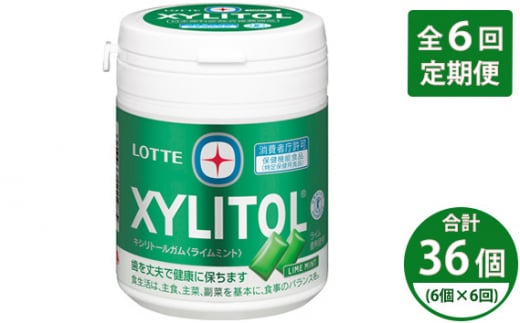 【定期便全6回】2ヶ月に1回お届け！キシリトールガム ライムボトル 6個 | ガム キシリトール ライム ミント お菓子 おやつ 特定保健用食品 LOTTE 株式会社ロッテ 埼玉県 狭山市
