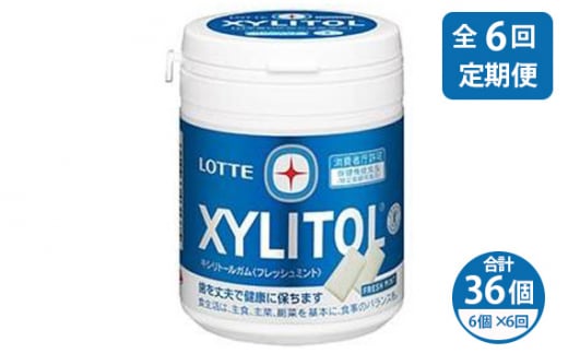 【定期便6回】 2ヶ月に1回お届け!キシリトールガム フレッシュミント 6個 | ガム キシリトール ミント お菓子 おやつ 特定保健用食品 LOTTE 株式会社ロッテ 埼玉県 狭山市