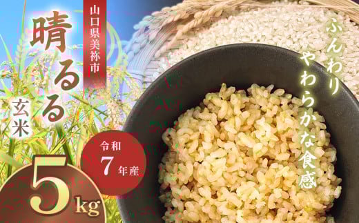 令和7年度産 新米晴るる 玄米5kg 先行予約 [ 2025年10月より順次発送予定 ] | 米 精米 新米 玄米 米 雑穀 お米 コメ 単一米 晴るる はるる 山口 美祢 秋吉台 5kg