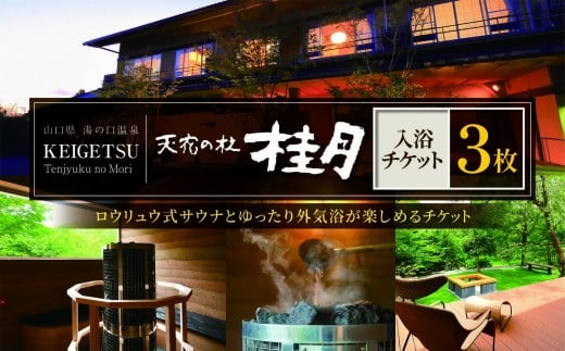 天宿の杜 桂月 入浴 チケット 3枚｜ サウナ 入浴 チケット 旅館 湯の口 温泉 部屋風呂 露天風呂 サウナ ロウリュウ 静養 美祢市 山口県 美祢 名湯 旅行