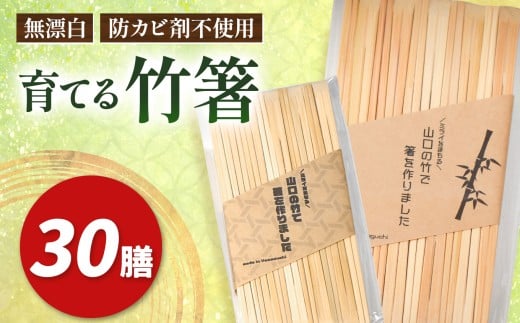 育てる 竹箸 ( 割り箸 ) 10膳 ３袋｜ 竹 天然 天然竹 環境 保護 割り箸 箸 竹箸 食器 キッチン 料理 山口 美祢市 美祢
