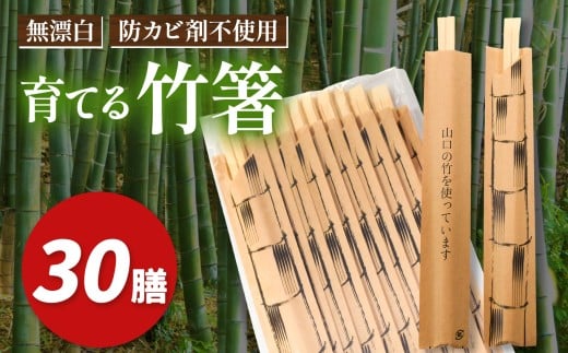 育てる 竹箸 ( 割り箸 ) 10膳 ３袋｜ 竹 天然 天然竹 環境 保護 割り箸 箸 竹箸 食器 キッチン 料理 山口 美祢市 美祢