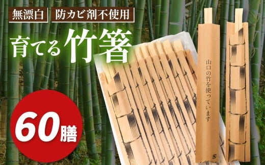 育てる 竹箸 ( 割り箸 ) 10膳 6袋｜ 竹 天然 天然竹 環境 保護 割り箸 箸 竹箸 食器 キッチン 料理 山口 美祢市 美祢