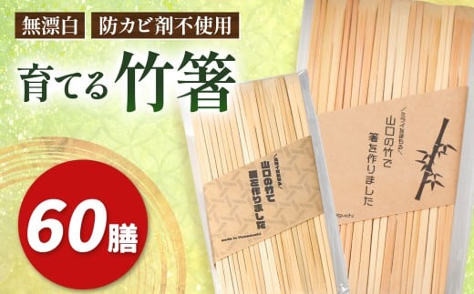 育てる 竹箸 ( 割り箸 ) 10膳 6袋｜ 竹 天然 天然竹 環境 保護 割り箸 箸 竹箸 食器 キッチン 料理 山口 美祢市 美祢
