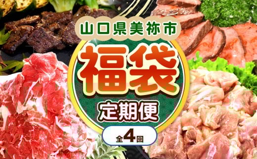 【 定期便 】美祢市の旬 ・ お得な福袋（ 全4回 ） ｜ 数量限定 お肉 肉 牛肉 切り落とし 牛 にく 国産 国産牛 鹿肉 ステーキ ジビエ もみじ 長州 鶏 鶏肉 もも とり 切り身 ロースト ビーフ 山口 県 美祢市 秋吉台 高原 ふるさと 納税 定期便