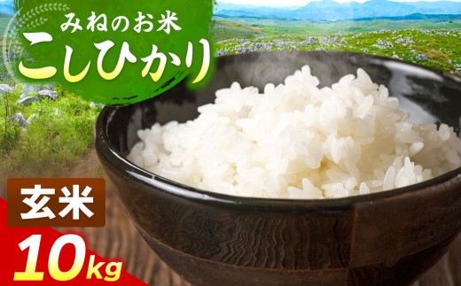 令和7年度産 こしひかり 玄米 10kg｜ 玄米  米 雑穀 お米 コメ 単一米 こしひかり コシヒカリ   山口 美祢 秋吉台