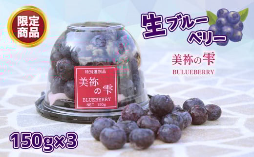 数量限定 ・ 期間限定 生ブルーベリー 「 美祢の雫 」3pセット | ブルーベリー 大粒 超大粒 自家栽培 美祢の雫 限定 数量 期間 フルーツ 果物 果実 お取り寄せ ご当地 山口 美祢 美祢市 特産品 期間限定 数量限定