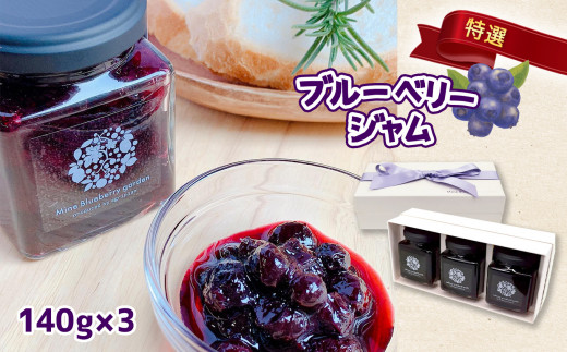 特選 ブルーベリージャム 3本セット ｜ フルーツ 果物 果実 ブルーベリー 特選 ジャム 無添加 セット 詰め合わせ 山口 美祢 美祢市 特産品 贈答用 ギフト 無添加