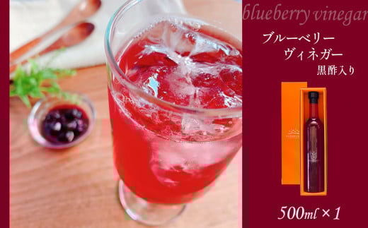 ブルーベリー ヴィネガー 黒酢 入り ｜ フルーツ 果物 ブルーベリー ヴィネガー 黒酢 お酢 無添加 セット 詰め合わせ 料理 贈答用 山口 美祢市 美祢 特産品