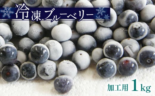 冷凍 ブルーベリー ( 加工用 ) ｜ 果物 くだもの フルーツ ブルーベリー 冷凍 加工用 1kg 山口 美祢市 美祢 特産品 スムージー ジャム