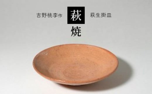 萩焼 吉野桃李作 萩生掛皿 | 和食器 食器 皿 プレート お洒落 オシャレ 萩焼 萩 工芸品 名産品 山口 美祢 特産品