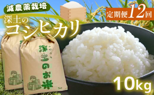 定期便12回 深土の特別米コシヒカリ 10kg×12(1ヶ月毎×12回) ｜  有機肥料 減農薬 精米 お米 こしひかり 山口県 美祢市 秋吉台 10kg 定期便