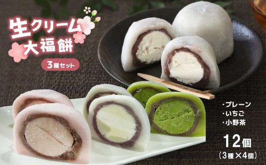 生クリーム大福餅 3種 ( プレーン ・ 苺 ・ 小野抹茶 ) 12個 入 | スイーツ 和スイーツ おやつ 大福 餅 もち 生クリーム クリーム もちもち あんこ 餡 いちご 苺 まっちゃ 抹茶 ご褒美 山口 美祢市 美祢 特産品 ご当地 お取り寄せ