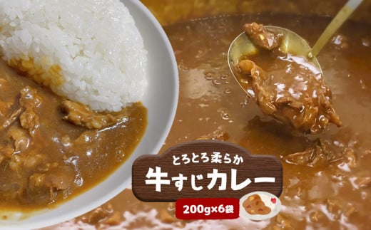 とろとろ柔らか 牛すじカレー (200g×6袋) ｜ カレー 牛すじ 柔らか やわらか コラーゲン 牛肉 肉 にく 山口県 美祢市 美祢 1200g