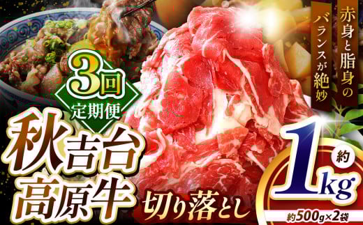 【定期便 3回】 秋吉台高原牛 切り落とし 合計 1kg  ( 約500g × 2 )  ｜ 3回 1000ｇ 数量限定 お肉 牛 肉 牛肉 にく 切り落とし 3kg 食べ物 長州 ブランド 限定 国産 山口 県 美祢市 秋吉台 高原 お礼の品 返礼品 送料無料 定期便