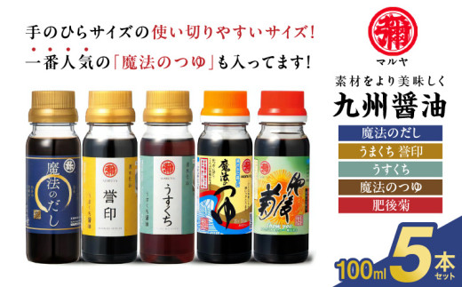 94-13 マルヤ 九州醤油100ml×5本セット