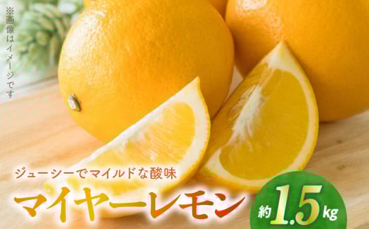 54-17 福島オレンジ農園 マイヤーレモン 1.5kg
