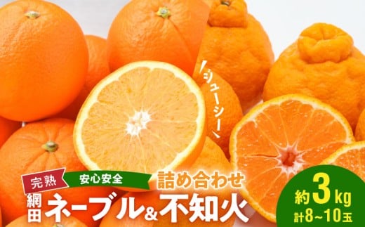 101-12 村田果樹園 網田ネーブルと不知火の詰め合わせ 約3kg