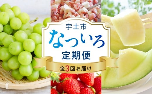 T007-natuiro　【宇土市】なついろ定期便