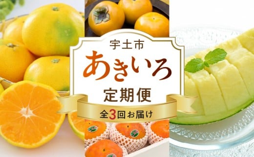 T007-akiiro　【宇土市】あきいろ定期便