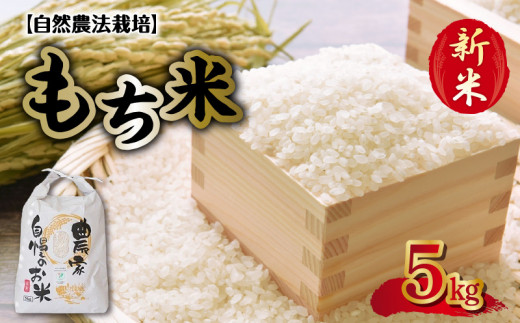 70-273 先行予約 カワノ農園 自然農法栽培もち米5kg