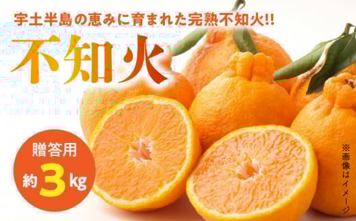 54-11 【先行予約】福島オレンジ農園 【贈答用】減農薬で安心安全なおいしい甘く熟した!!不知火 約3kg