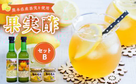 34-8 果実酢2本・塩レモン セット(B)